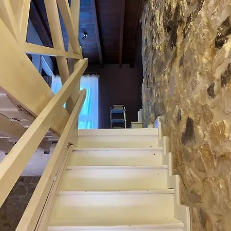 Olas Y Flores Silvestres 1 *