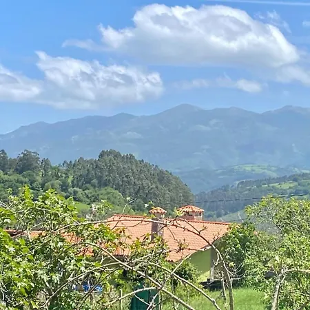 Olas Y Flores Silvestres 1