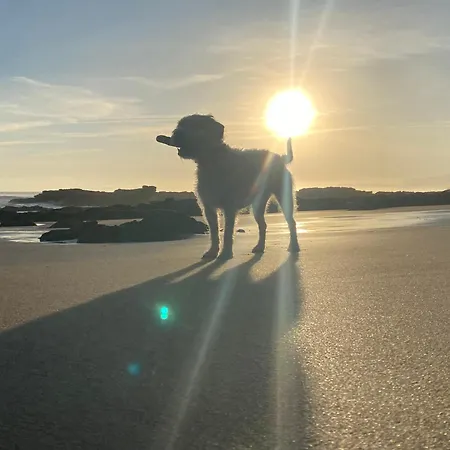 Vakantiehuis Olas Y Flores Silvestres 1 Castiello de Lue
