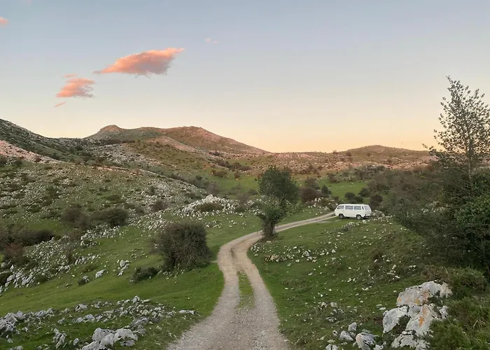 Olas Y Flores Silvestres 1 * Castiello de Lue