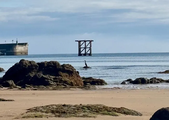 Сasa de vacaciones Olas Y Flores Silvestres 1 *