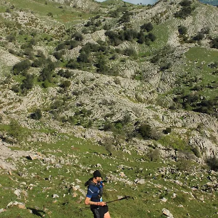 Olas Y Flores Silvestres 1 Dom wakacyjny