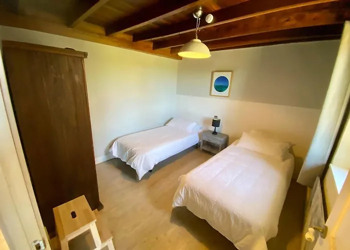 Olas Y Flores Silvestres 1 * Castiello de Lue