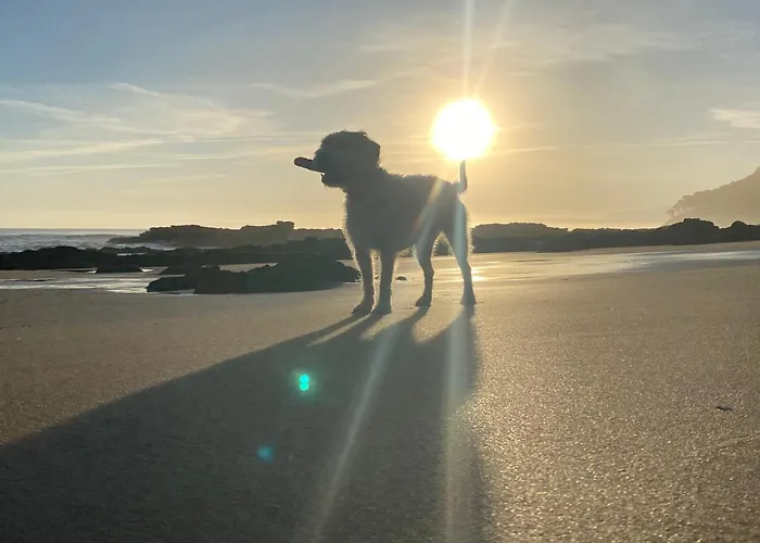 Hébergement de vacances Olas Y Flores Silvestres 1 Castiello de Lue